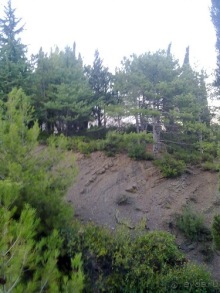 Продолжаю отдыхать в Крыму...