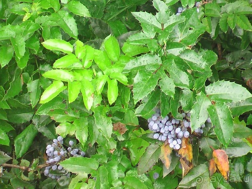 Продолжаю отдыхать в Крыму...