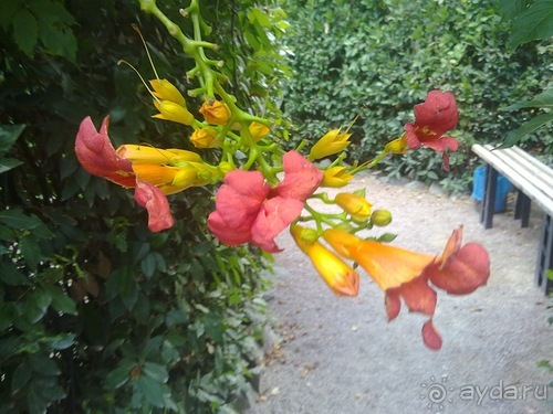 Продолжаю отдыхать в Крыму...