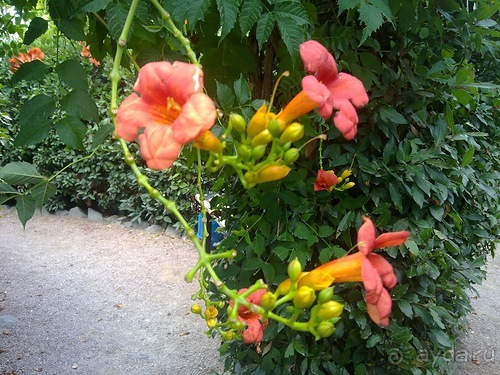 Продолжаю отдыхать в Крыму...