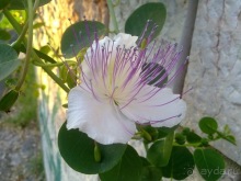 Верона, день третий