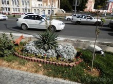 Третий день в Самарканде