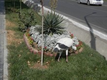 Третий день в Самарканде