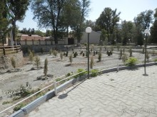 Третий день в Самарканде