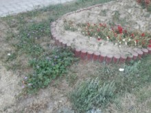 Третий день в Самарканде