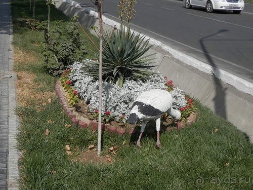 Третий день в Самарканде