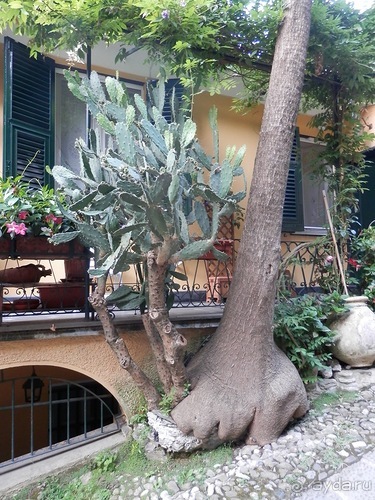 Яхта - Сан-Маргарита и Портофино