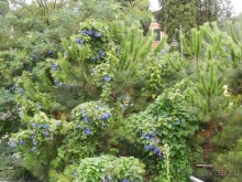 Яхта - Сан-Маргарита и Портофино