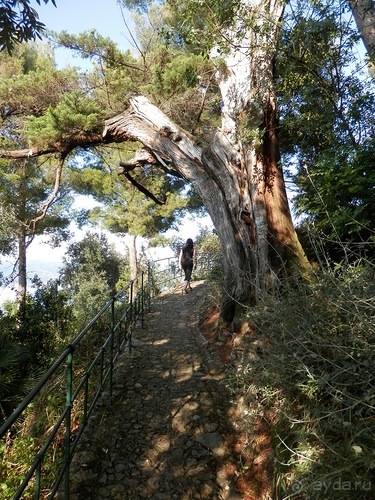 Яхта - Сан-Маргарита и Портофино