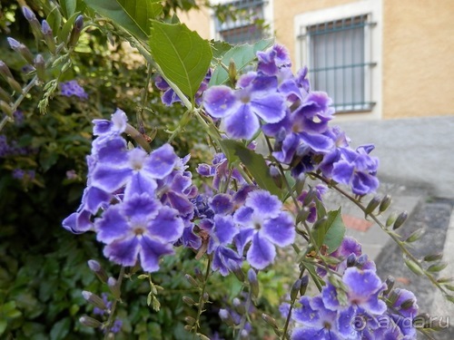 Яхта - Сан-Маргарита и Портофино