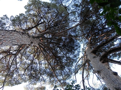 Яхта - Сан-Маргарита и Портофино