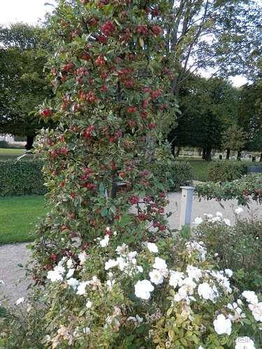 Копенгаген, день второй