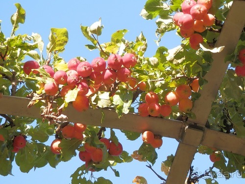 Копенгаген, день второй