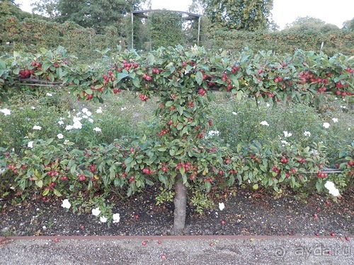 Копенгаген, день второй