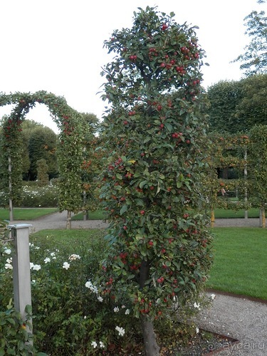 Копенгаген, день второй