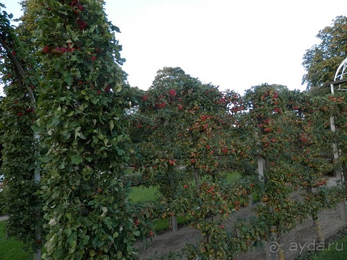 Копенгаген, день второй