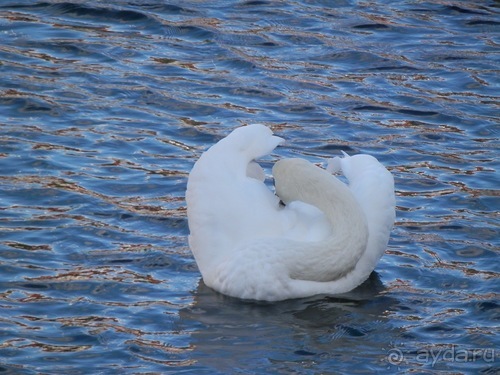 Копенгаген, день второй