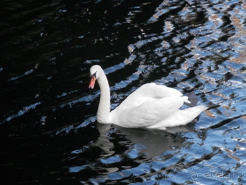 Копенгаген, день второй