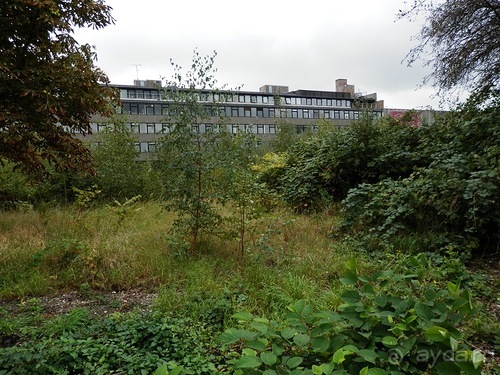 Копенгаген, день второй