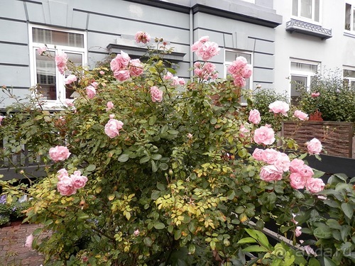 Копенгаген, день второй