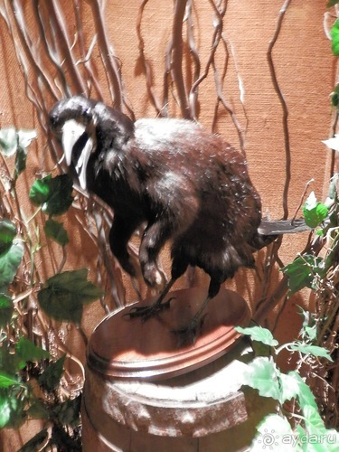 Копенгаген, день второй