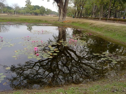 Таиланд, день четвертый