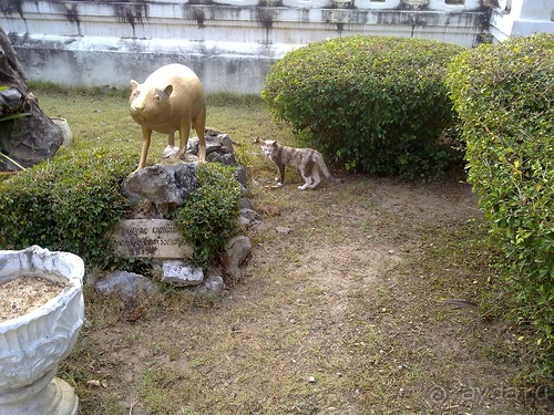 Таиланд, день четвертый