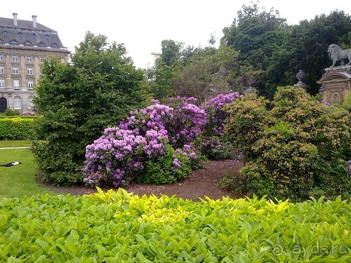 Брюссель, день первый