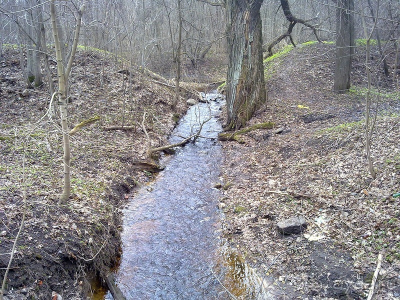А я в Питере