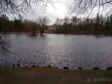 А я в Питере