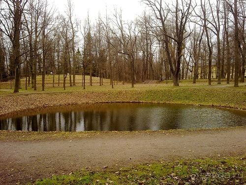 А я в Питере