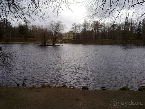 А я в Питере