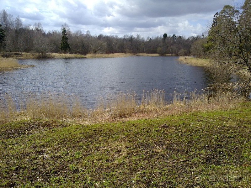 А я в Питере