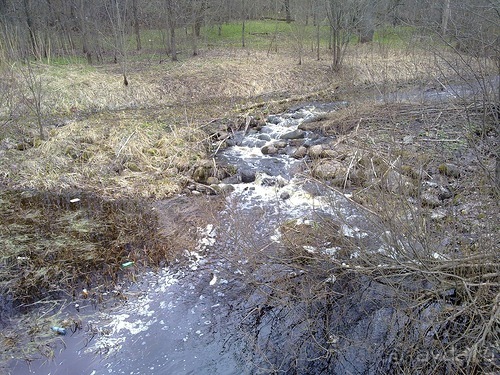 А я в Питере