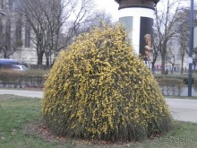 Вена, продолжаем прогулки