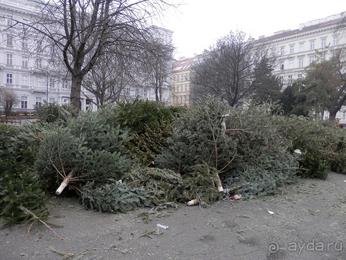 Вена, продолжаем прогулки