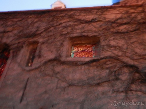 Вена, продолжаем прогулки