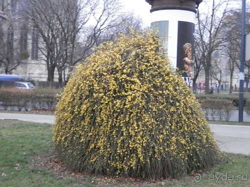 Вена, продолжаем прогулки