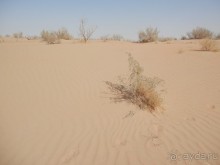 Крепости древнего Хорезма