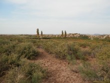 Крепости древнего Хорезма