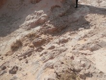 Крепости древнего Хорезма