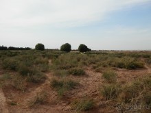 Крепости древнего Хорезма