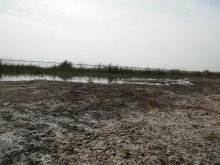 Крепости древнего Хорезма