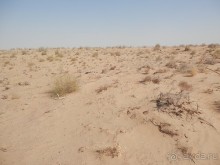 Крепости древнего Хорезма