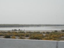 Крепости древнего Хорезма