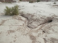 Крепости древнего Хорезма