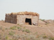 Крепости древнего Хорезма