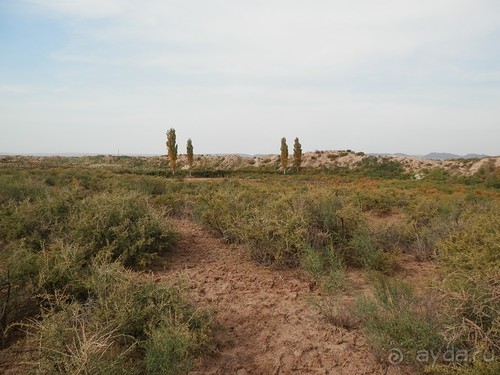 Крепости древнего Хорезма