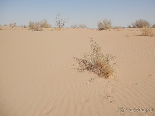 Крепости древнего Хорезма