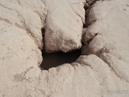 Крепости древнего Хорезма